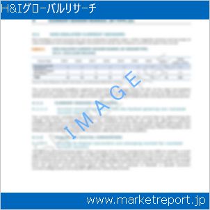 市場と産業調査レポートのイメージ
